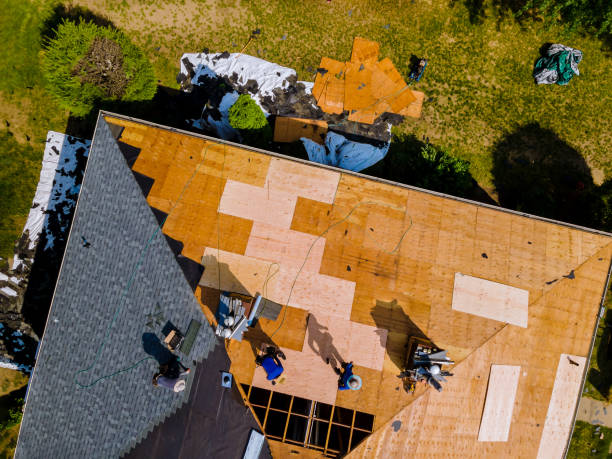 Best Roof Repair Services  in Carterville, MO