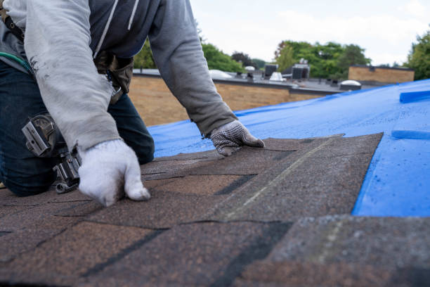 Best Slate Roofing Contractor  in Carterville, MO