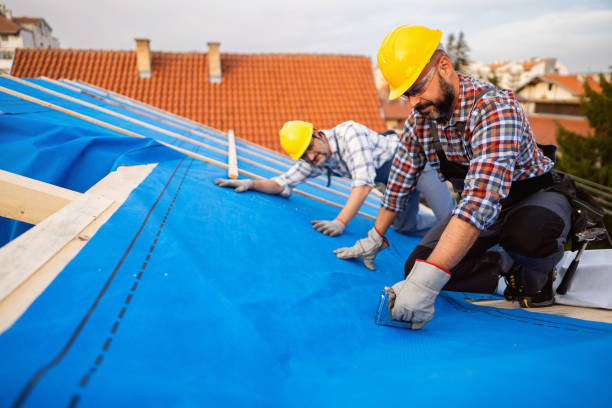 Best Roof Gutter Cleaning  in Carterville, MO