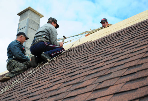 Best Roof Waterproofing Services  in Carterville, MO