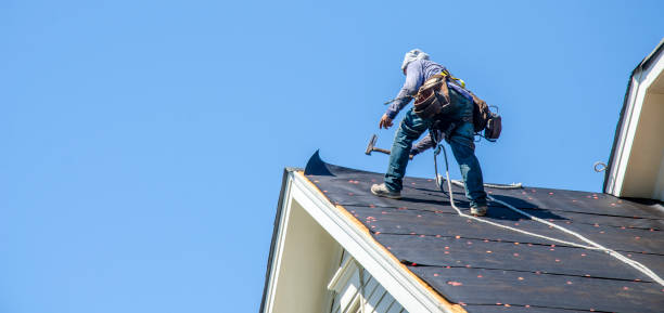 Best Roof Leak Repair  in Carterville, MO